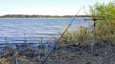 За лещом. В гостях у родни!