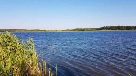 За лещом. В гостях у родни!