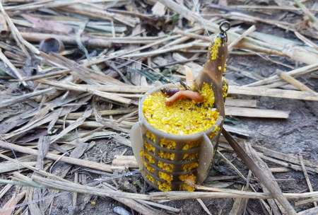 За лещом. В гостях у родни!