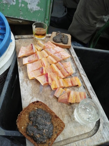 Открытие - всегда праздник!!!