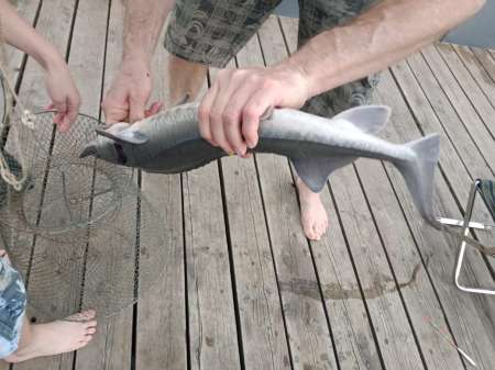 Июнь и август в Илейкино