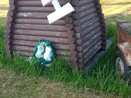 Июнь и август в Илейкино