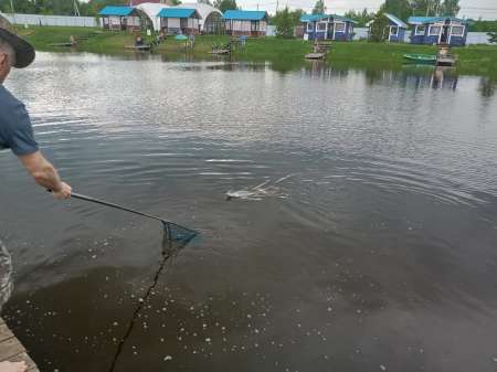 Июнь и август в Илейкино