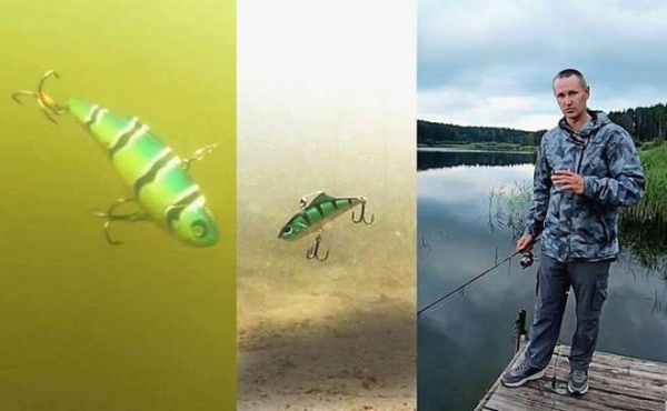 Пять лучших проводок раттлинов и секреты применения