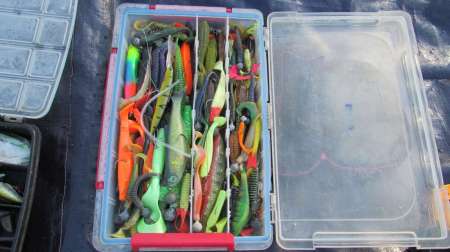 Поездка на Чулым