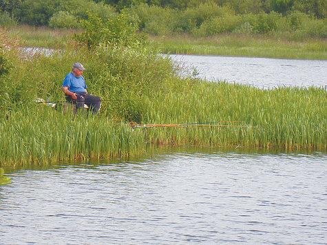 Правда о приваде