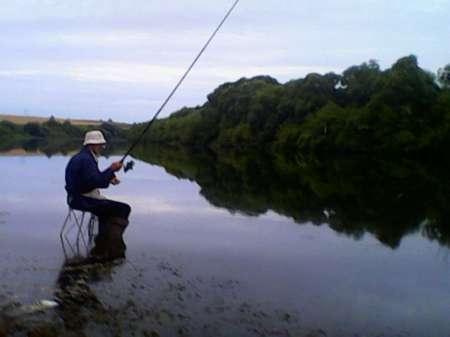 С мыска на пшеницу