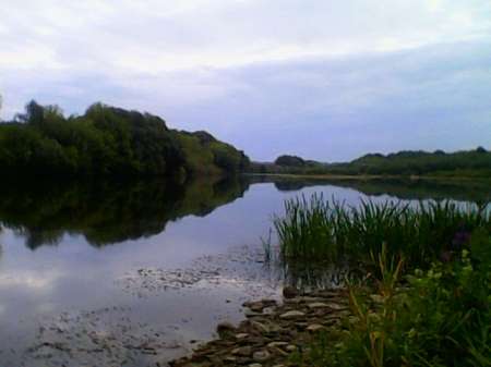 С мыска на пшеницу