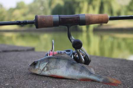 Тестируем новый спиннинг для мормышинга 2020