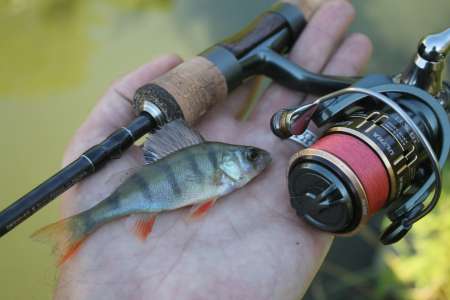 Тестируем новый спиннинг для мормышинга 2020