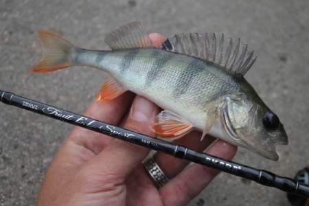 Тестируем новый спиннинг для мормышинга 2020