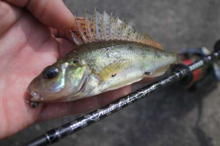 Тестируем новый спиннинг для мормышинга 2020