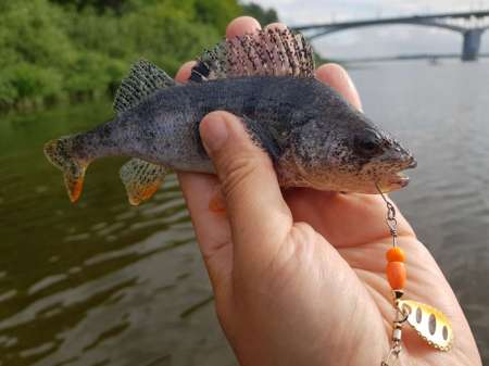 Трофеи городской черты Трофеи городской черты