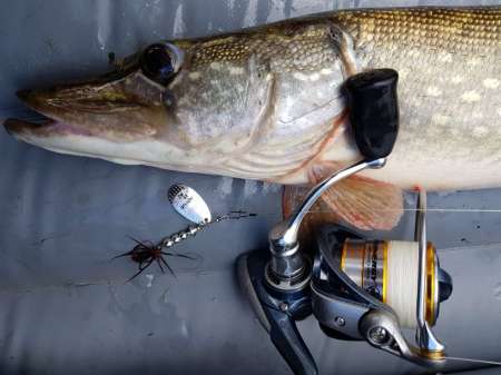 Трофеи городской черты Трофеи городской черты