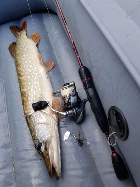 Трофеи городской черты Трофеи городской черты