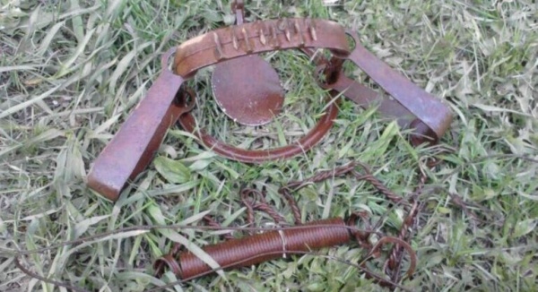 Виды капканов для охоты