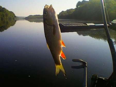 За голавлём в Нестеровку