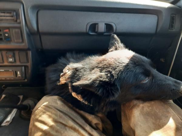 Новые маршруты, новые места... Новые маршруты, новые места...