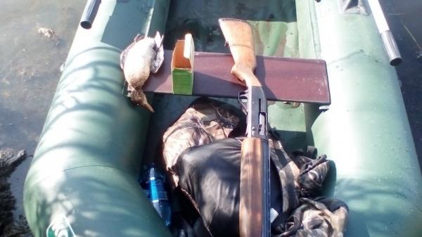 Трудовая утка