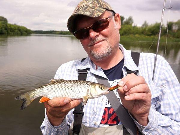 Голавль самый распространенный хищник малых речек