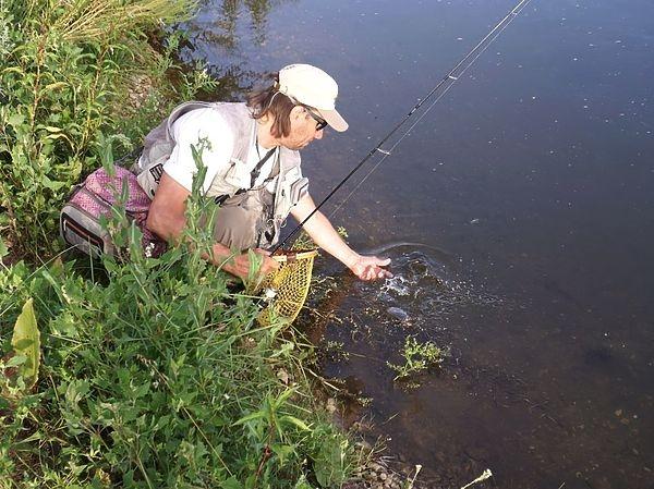 Голавль самый распространенный хищник малых речек