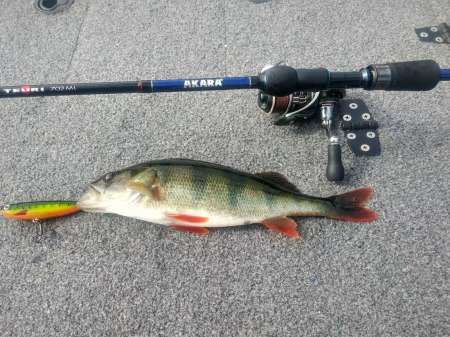 Как поймать много рыбы на воблеры