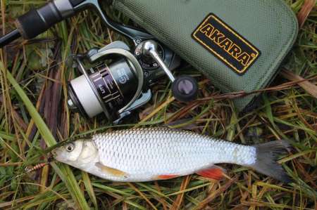 Ловля голавля на спиннинг ультралайт осенью