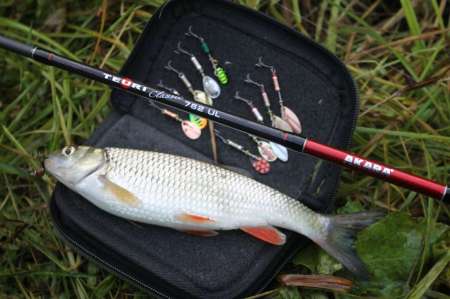 Ловля голавля на спиннинг ультралайт осенью