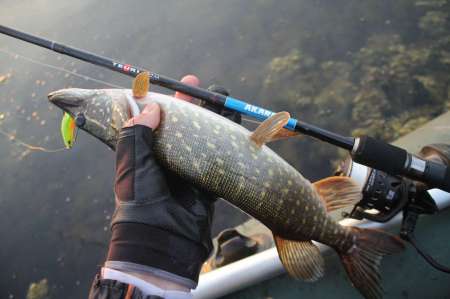 Огруженный офсетник своими руками Огруженный офсетник своими руками