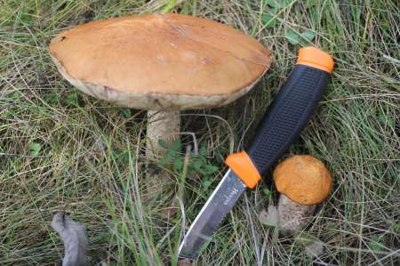 Огруженный офсетник своими руками Огруженный офсетник своими руками