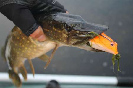 Огруженный офсетник своими руками Огруженный офсетник своими руками