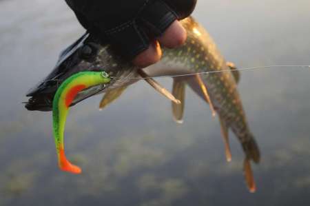 Огруженный офсетник своими руками Огруженный офсетник своими руками