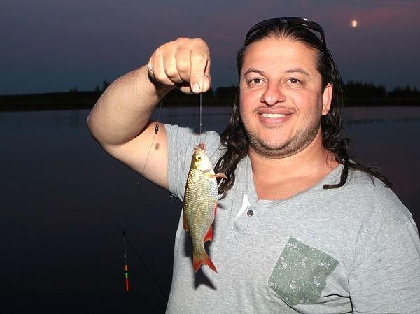 Плотва и ее родня Плотва и ее родня