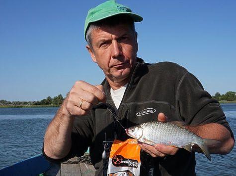 Плотва и ее родня Плотва и ее родня