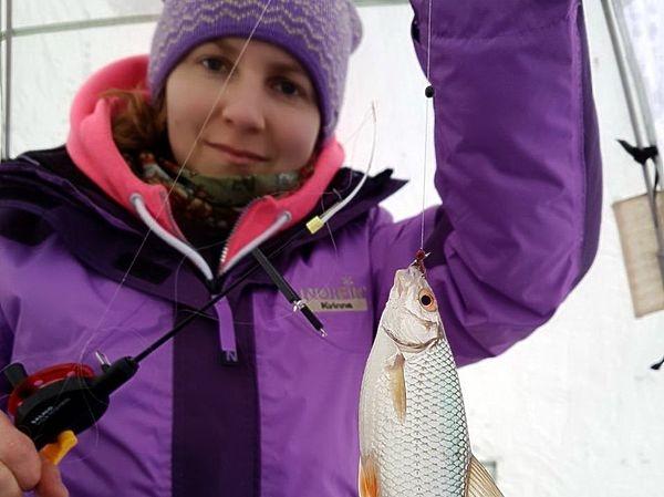 Плотва и ее родня Плотва и ее родня