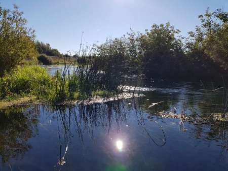 Последняя голавлиная охота Последняя голавлиная охота