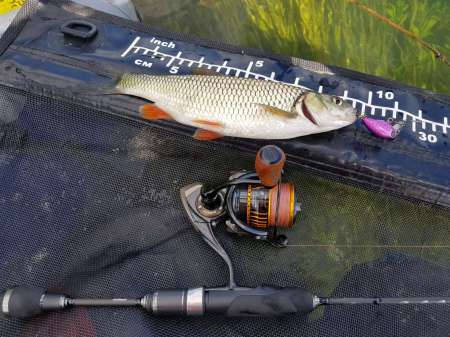 Последняя голавлиная охота Последняя голавлиная охота