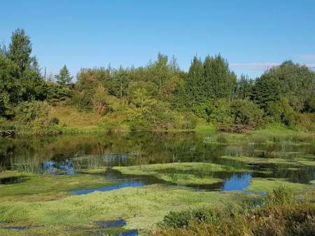 Последняя голавлиная охота Последняя голавлиная охота