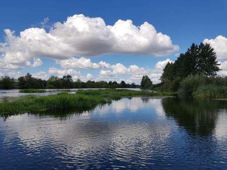 Последняя голавлиная охота Последняя голавлиная охота
