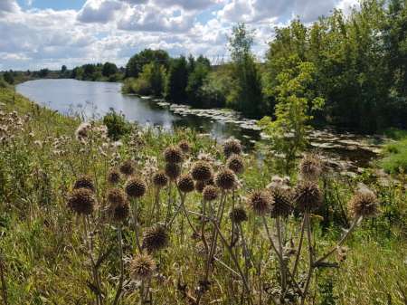 Последняя голавлиная охота Последняя голавлиная охота