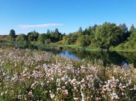 Последняя голавлиная охота Последняя голавлиная охота
