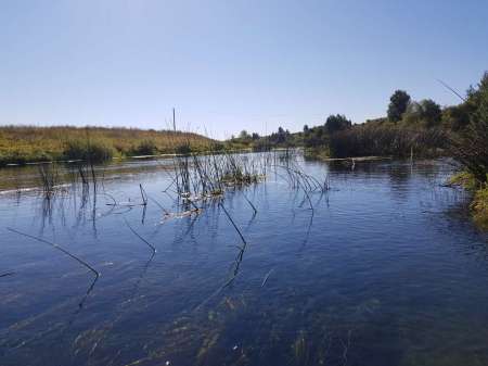 Последняя голавлиная охота Последняя голавлиная охота
