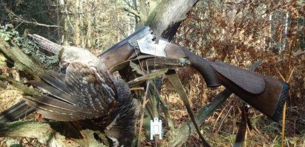 Профессиональная охота на рябчика