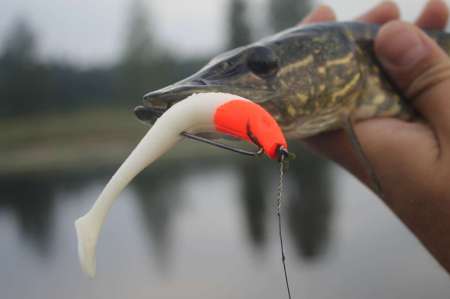 Самые уловистые монтажи для ловли щуки в траве