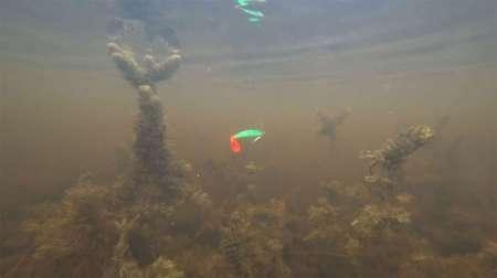 Самые уловистые монтажи для ловли щуки в траве