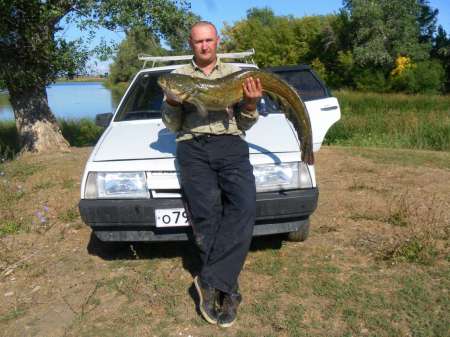 Сом 10,5 кг на спиннербейт от компании WolFish Сом 10,5 кг на спиннербейт от компании WolFish