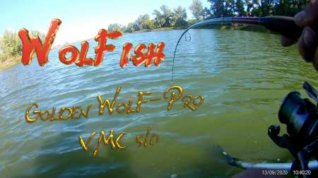 Сом 10,5 кг на спиннербейт от компании WolFish Сом 10,5 кг на спиннербейт от компании WolFish