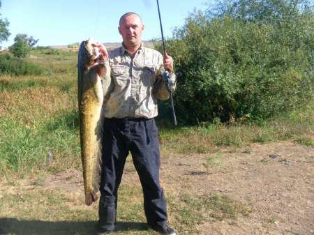 Сом 10,5 кг на спиннербейт от компании WolFish Сом 10,5 кг на спиннербейт от компании WolFish