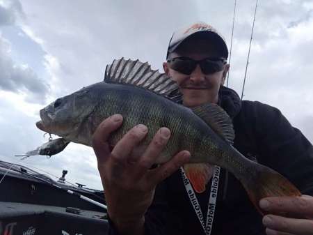 Трофейный окунь на кренки