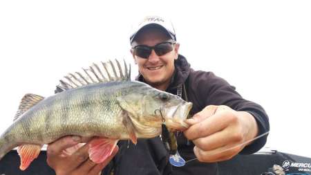 Трофейный окунь на кренки